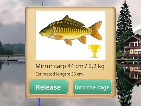 Fishing Baron: Fangfenster mit einem Spiegelkarpfen, 44 Zentimeter und 2,2 Kilogramm