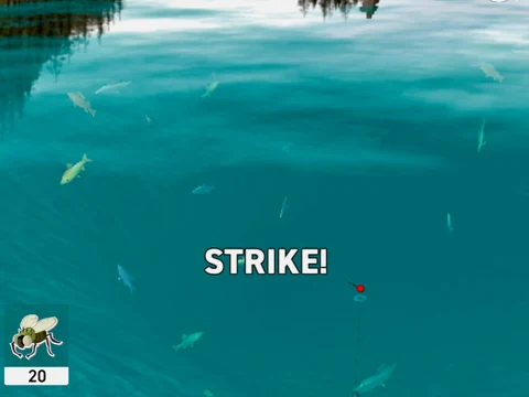 Fishing Club 3D: Blick unter Wasser auf einen Fischschwarm mit dem Hinweis Strike